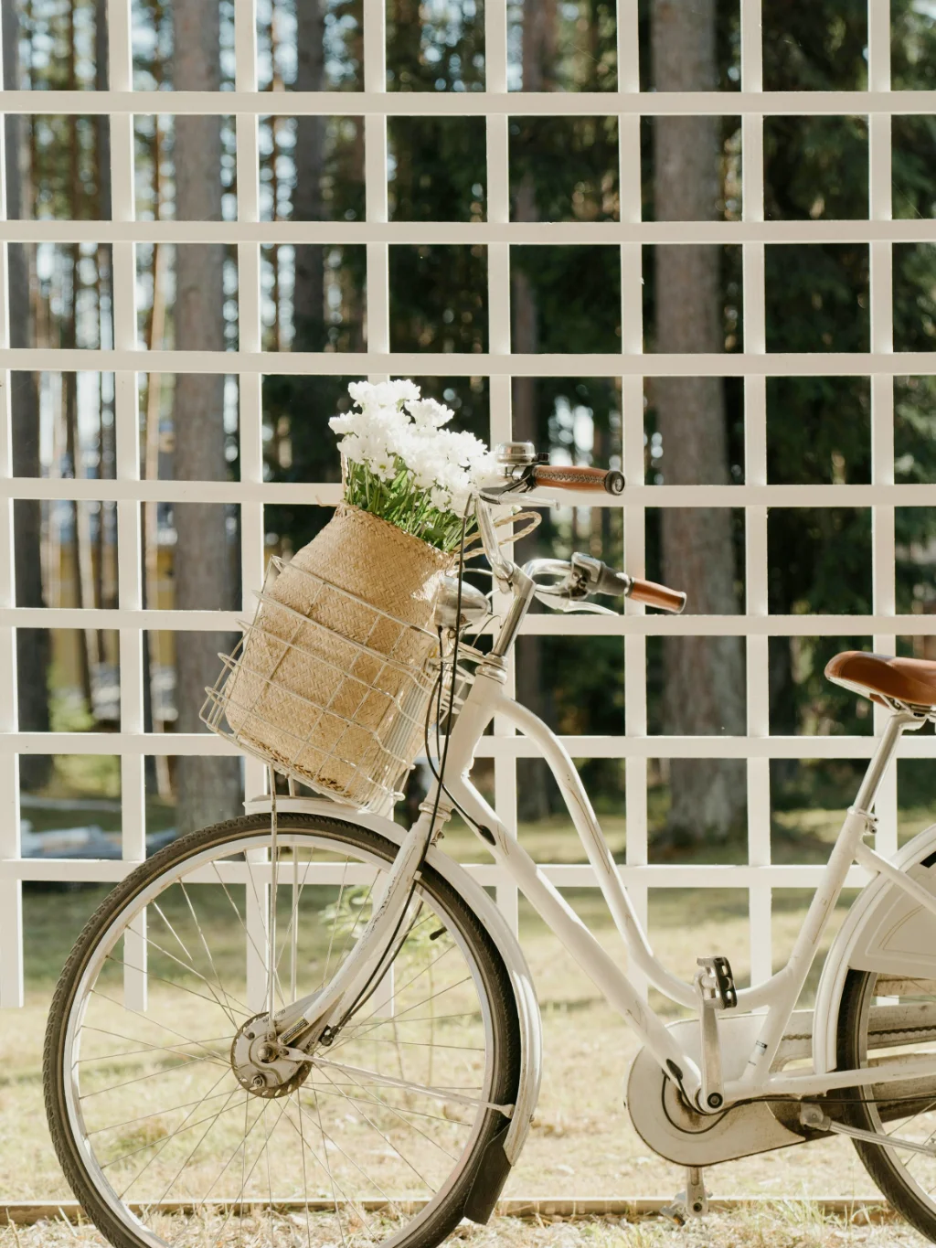Blogbeitrag